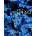 Shibori for Textile Artists | Janice Gunner