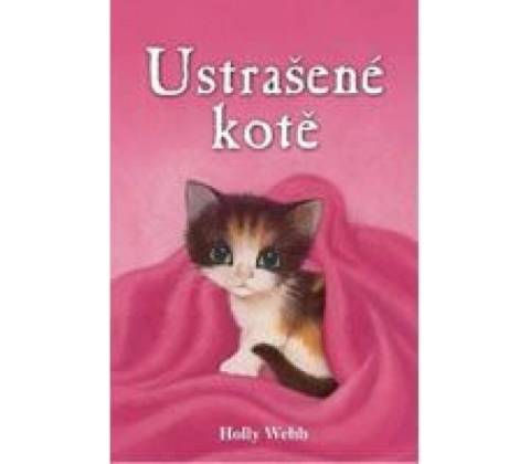 Ustrašené kotě