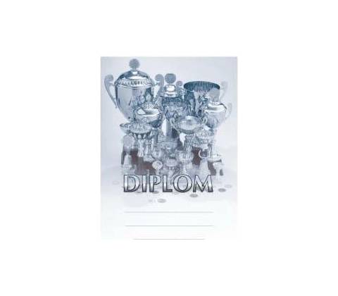 Diplom 6692