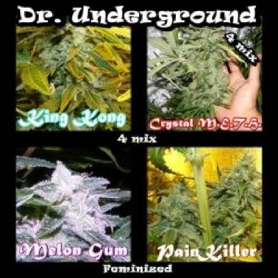 Dr. Underground Surprise Killer Mix semena neobsahují THC 4 ks