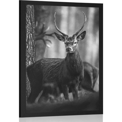 Plakát jelen v lese v černobílém provedení - 30x45 silver
