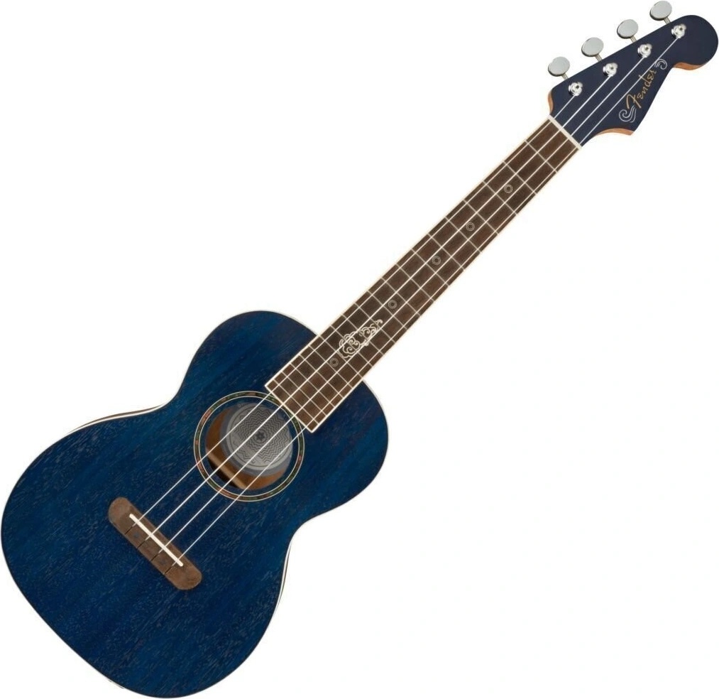 Fender Dhani Harrison