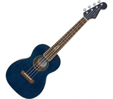 Fender Dhani Harrison