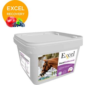 Excel Supplements EXCEL Recovery ochrana svalů pro koně 1 kg