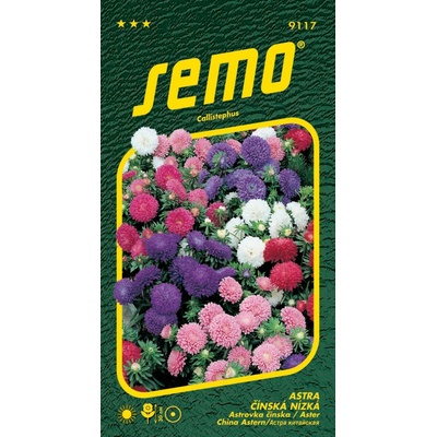Semo Astra čínská - Colour Carpet (30cm) 0,5g