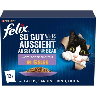 FELIX Senior chutná tak dobře, jak vypadá. Pochoutka v želé, různé příchutě, 12 × 85 g