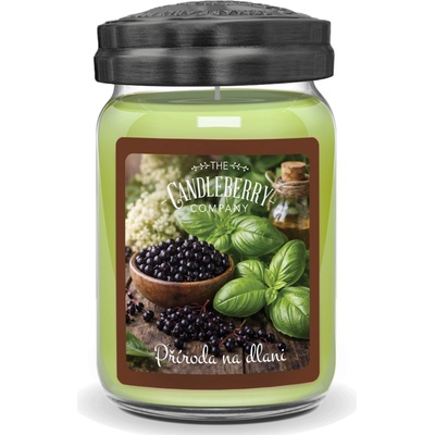 Candleberry Candle Příroda na dlani 624 g