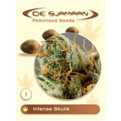 De Sjamaan Seeds Intense Skunk semena neobsahují THC 5 ks
