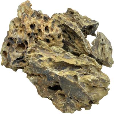 Invital Dragon Stone 6410 g Z05804