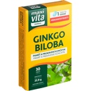 Maxivita Premium Ginkgo Biloba 30 tablet