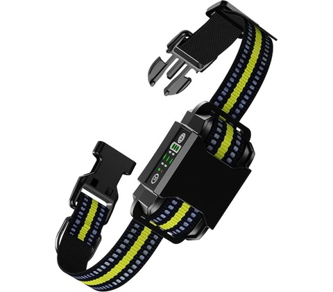 Patpet B600