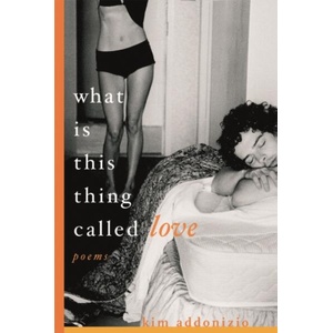 What Is This Thing Called Love | Kim Addonizio (ISBN: 9780393327090)