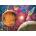 Cherry Pazzi - Puzzle Space Above Lunar Horizon - 1 000 piese