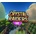 Crystal Raiders VR
