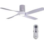 Lucci Air 213350