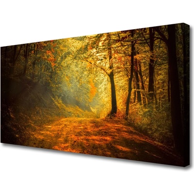 Obraz Canvas Les cestička stromy príroda 100x50 cm