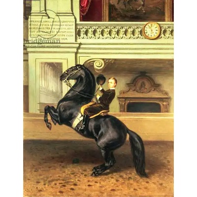 Obrazy - Rakouská škola (19. století): Crown Prince Rudolph of Austria (1858-89) on horseback in the Winter Riding School of the Hofburg, Vienna - reprodukce obrazu