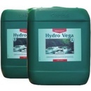 Hnojiva Canna Hydro Vega A+B 1 l