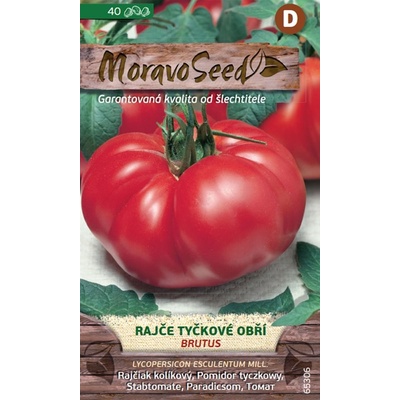 65306 Rajče obří Brutus 30s / 2609