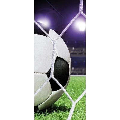 Preinterier DV0069 Fototapeta na stenu Futbalová lopta vlies 91cm x 211cm