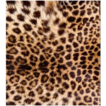DIMEX ART s. r. o Флизелинов фототапет леопардова кожа 225 x 250 см
