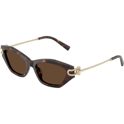 Tiffany & Co Tiffany & Co. TF4231U 80153G (TF4231U 80153G)