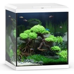 JUWEL Аквариум JUWEL VIO Cube 54 - бял (8045)