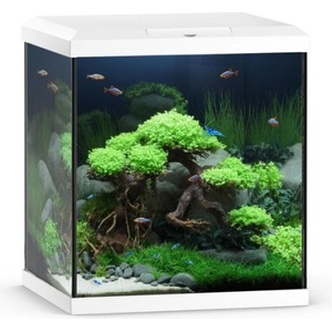 JUWEL Аквариум JUWEL VIO Cube 54 - бял (8045)