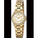 Michael Kors MK3252