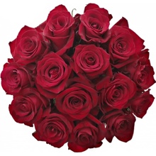 Kytice 15 luxusních růží EVER RED 50cm