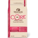 Wellness Core Sterilised Salmon Recipe 1,8 kg