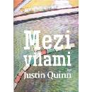 Mezi vilami