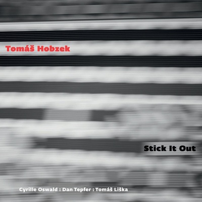 Hobzek Tomáš - Stick It Out CD