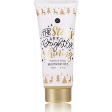 Accentra sprchový gél Winter Magic 200 ml