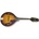 Epiphone MM30 SE