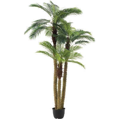 Okrasná trojitá palma v kvetináči Palm - Ø180 * 300cm - J-Line by Jolipa