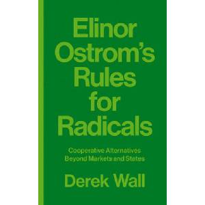 Elinor Ostrom's Rules for Radicals | Derek Wall (ISBN: 9780745399355)