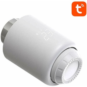 Avatto TRV07 WiFi
