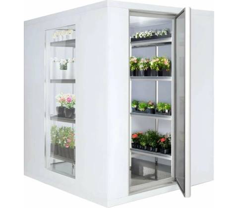 Vasegastro 4516