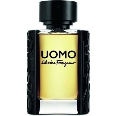 Salvatore Ferragamo Uomo toaletní voda toaletní voda pánská 100 ml