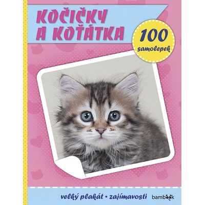 Kočičky a koťátka - Kolektiv autorů, Brožovaná vazba paperback