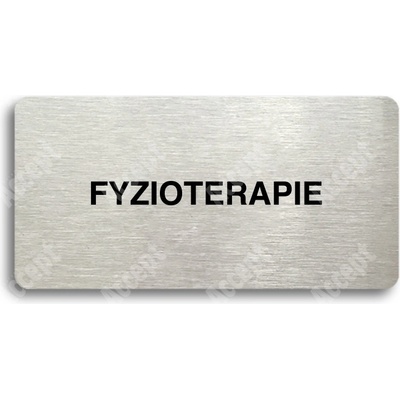 ACCEPT Piktogram FYZIOTERAPIE - stříbrná tabulka - černý tisk bez rámečku