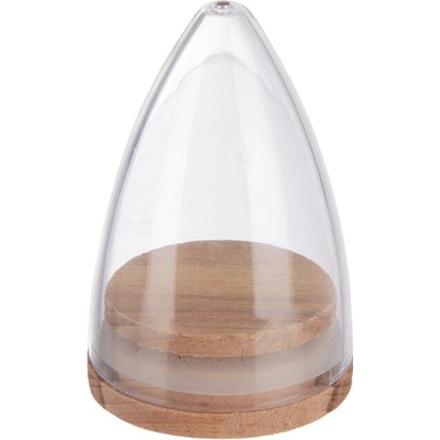 ORION Cone Korenka 2 ks