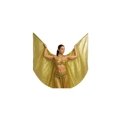 Křídla na břišní tanec/pro Kleopatru zlatá 285 x 135 cm – Hledejceny.cz