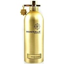 Montale Paris Aoud Shiny parfémovaná voda unisex 100 ml