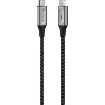 EcoFlow 1ECORAP-01 RAPID Pro USB-C -> USB-C