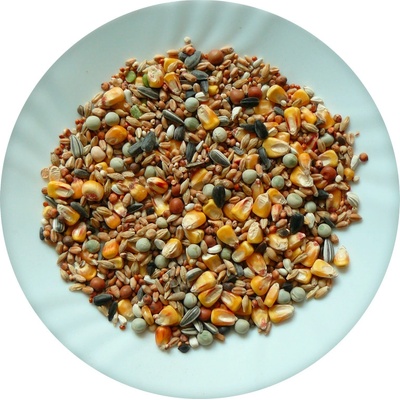 Avicentra Classic Holub 25 kg