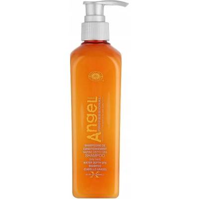 Angel Šampon pro mastné vlasy 1000 ml
