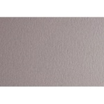 Fabriano Картон Colore, 50 x 70 cm, 200 g/m2, № 222, светлосив (42303222/2_PERLA)