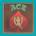 Bobby Weir: Ace LP
